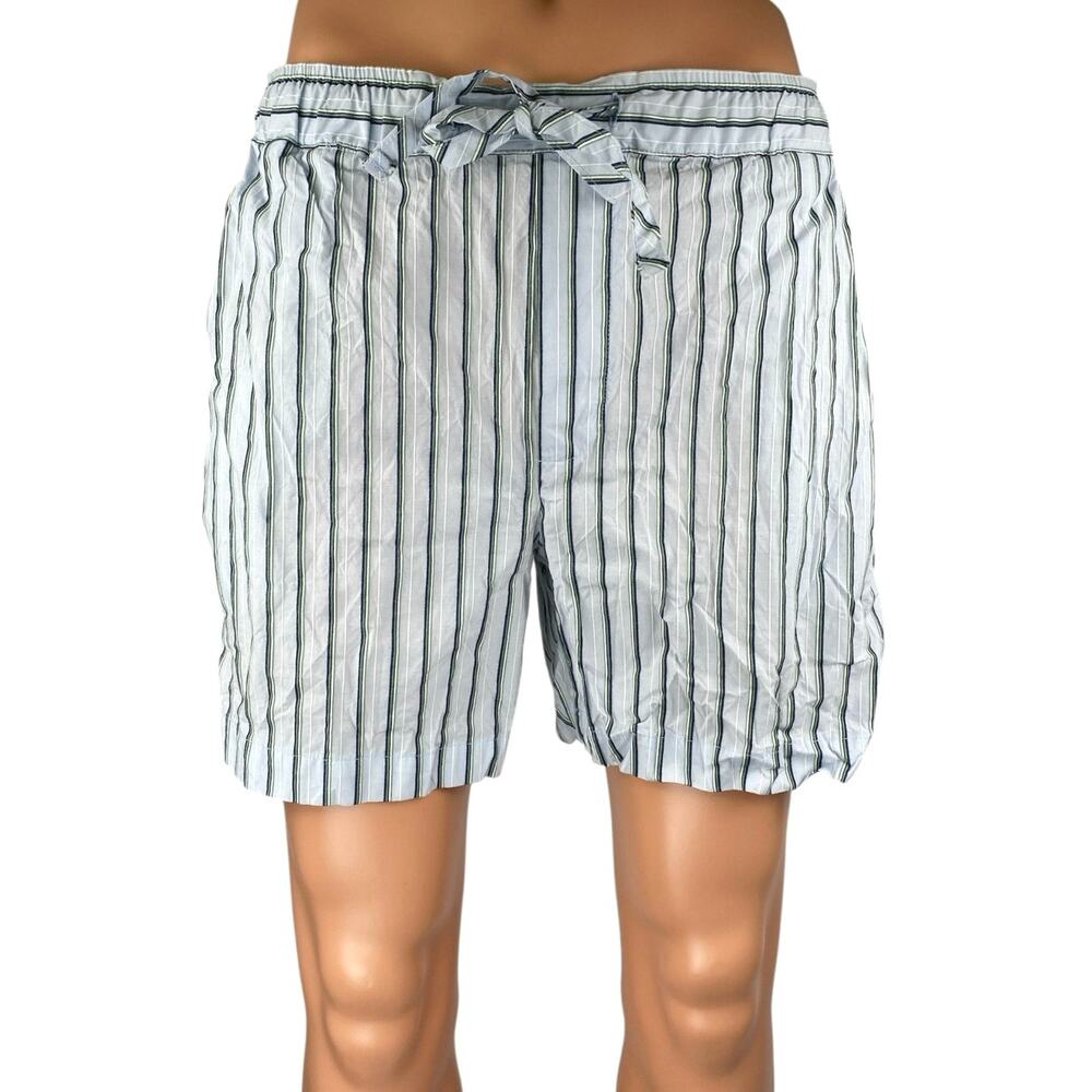 Zara Men's Blue Multicolor Striped Drawstring Straight Casual Shorts Size L